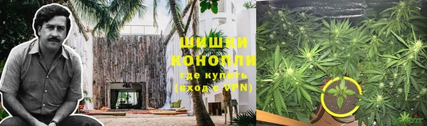 спайс Михайлов